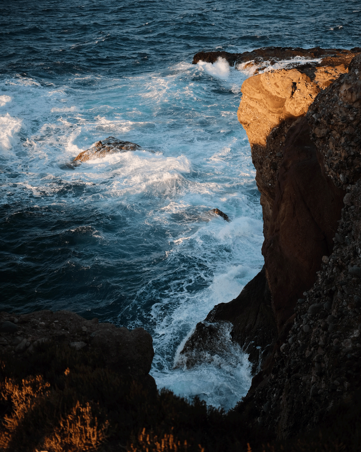 Film recipes: The number one reason I am a Fuji fan